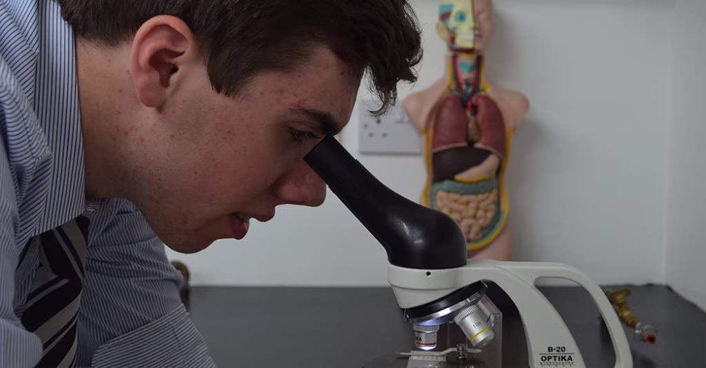 College life and student activities at Croydon Metropolitan College, image 12 of 22